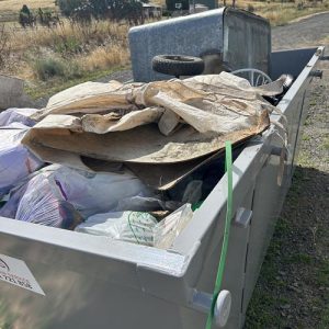 General Household Cleanup